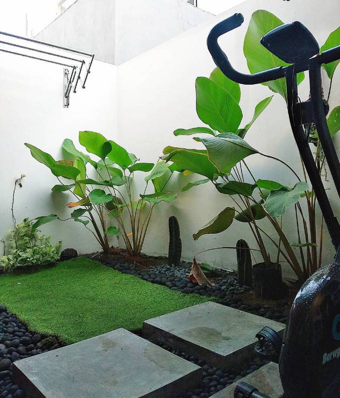 desain taman belakang minimalis