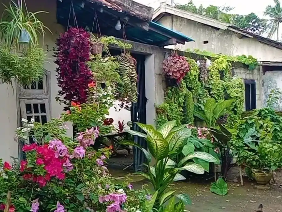 taman teras rumah sederhana di desa
